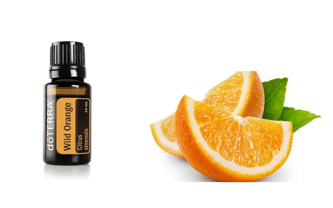 Wild Orange – Das ätherische Öl der wilden Orange