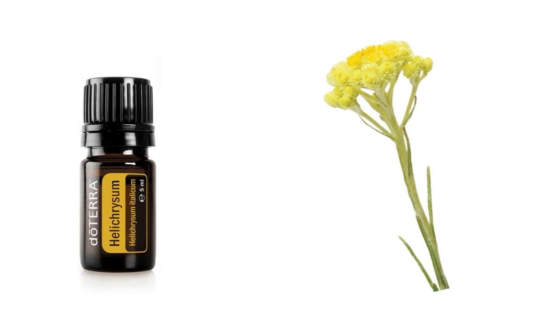 ätherisches Helichrysum Öl – Strohblume