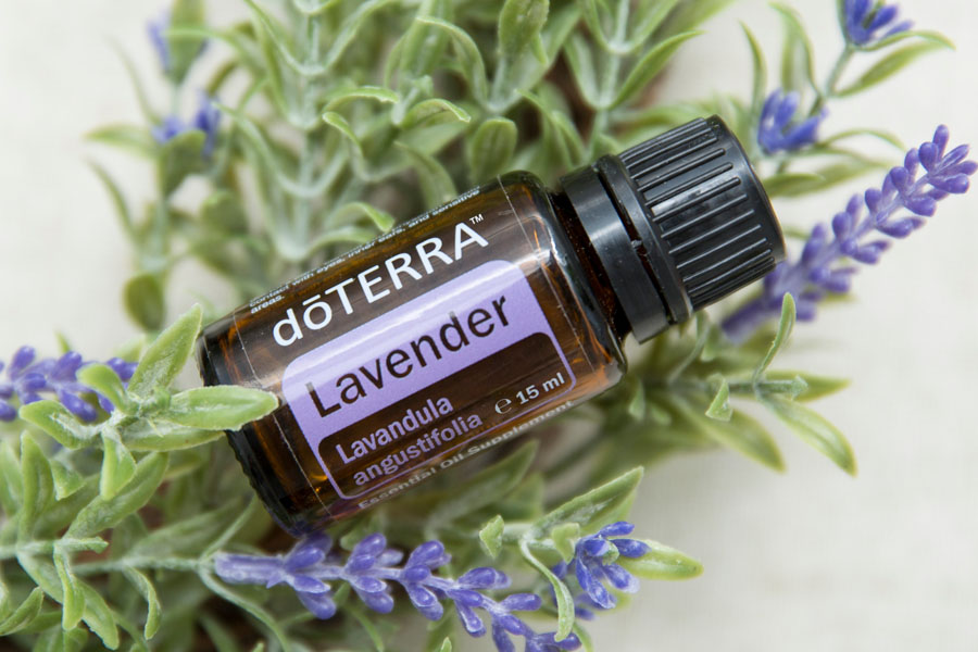 Lavendel - ätherisches Öl von doTERRA